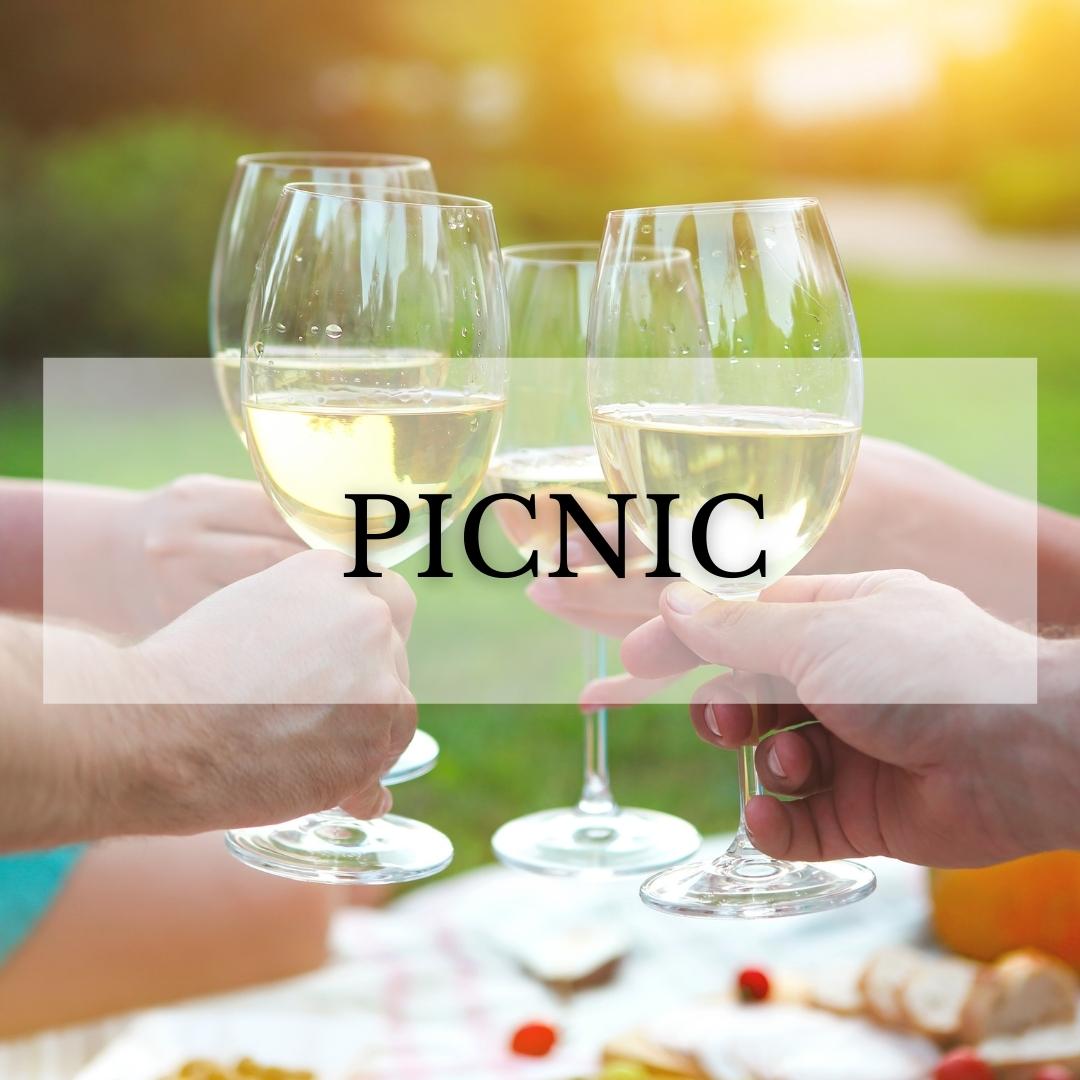 Picnic in The Vineyard