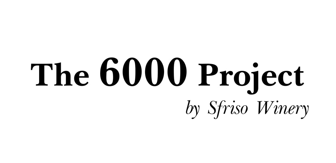 Lancio del progetto 6000
